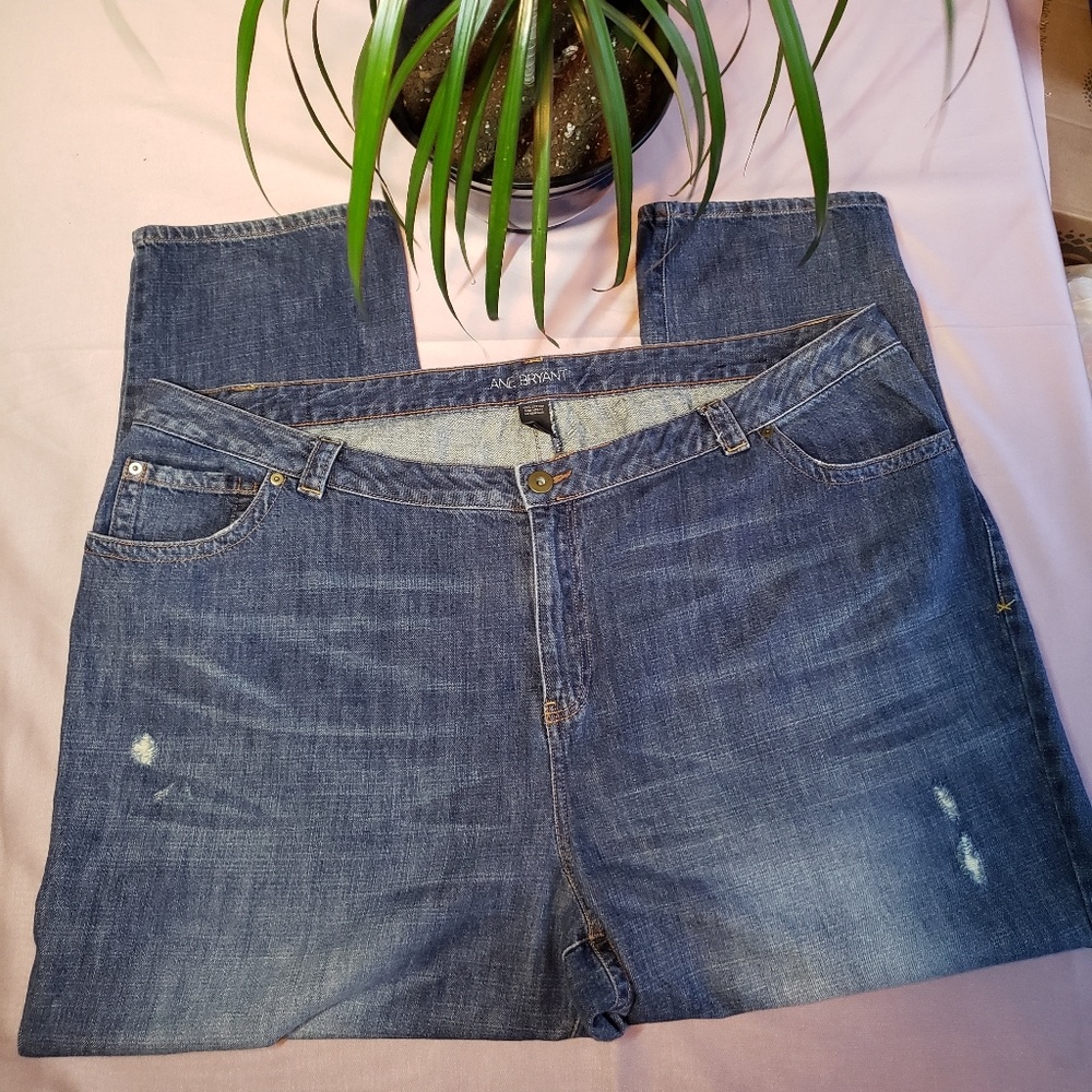 Lane Bryant Distressed Jeans